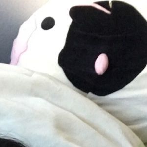 Meet your Posher, Keyra